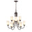 Millennium Lighting Ivey Lake 9 Light Chandelier, Bronze/Etched White - 9809-RBZ