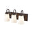 Millennium Lighting Ivey Lake 3 Light Vanity Light, Bronze/Etched