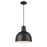 Millennium Lighting R Series 1 Light 12" Deep Bowl Pendant, Black - LEDRDBC12-SB