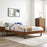 Modway Furniture Billie King Wood Platform Bed Frame