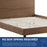 Modway Furniture Bronwen Full Wood Platform Bed, Walnut