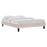 Modway Furniture Reign Queen Platform Bed Frame, Pink - MOD-6266-PNK