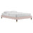 Modway Furniture Harlow 41" Platform Bed Frame, Pink - MOD-6268-PNK