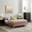 Modway Furniture Sutton Queen Bed Frame