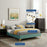 Modway Furniture Sutton Queen Bed Frame