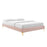 Modway Furniture Sutton Queen Bed Frame, Pink - MOD-6275-PNK