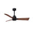 Matthews Fan Alessandra 3 Blade 42" Ceiling Fan, Black/Walnut - AK-BK-WN-42