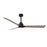 Matthews Fan Alessandra 1 3 Blade 56" Ceiling Fan, Black/Ash - AKLK-BK-GA-56