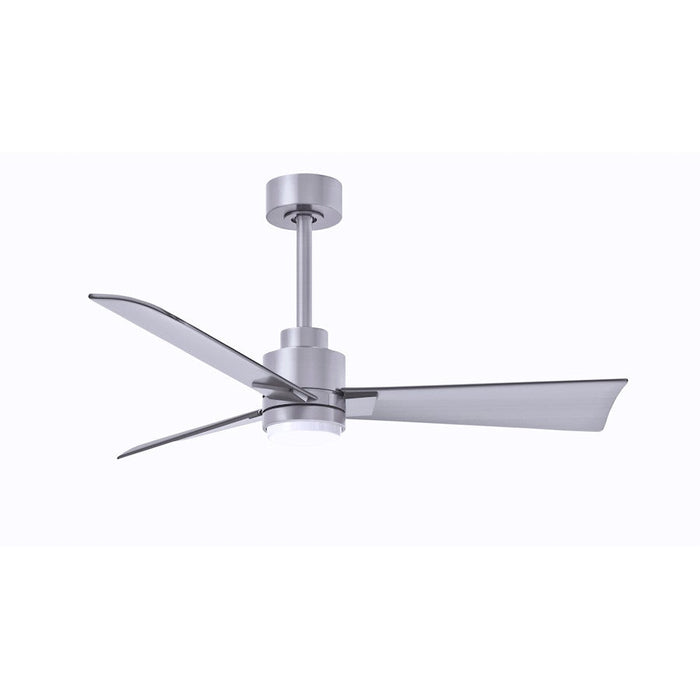 Matthews Fan Alessandra 1 3 Blade 42" Ceiling Fan, Nickel - AKLK-BN-BN-42