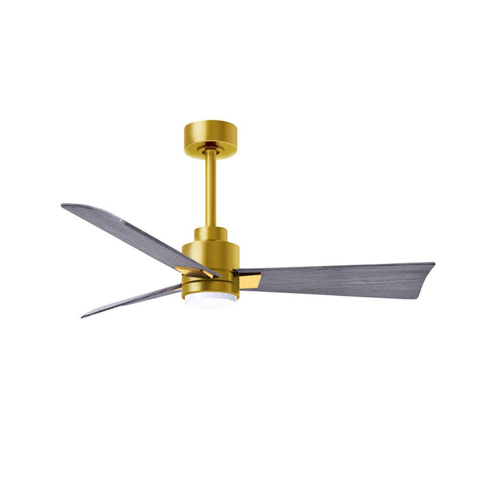 Matthews Fan Alessandra 1 3 Blade 42" Ceiling Fan, Brass/Barn - AKLK-BRBR-BW-42