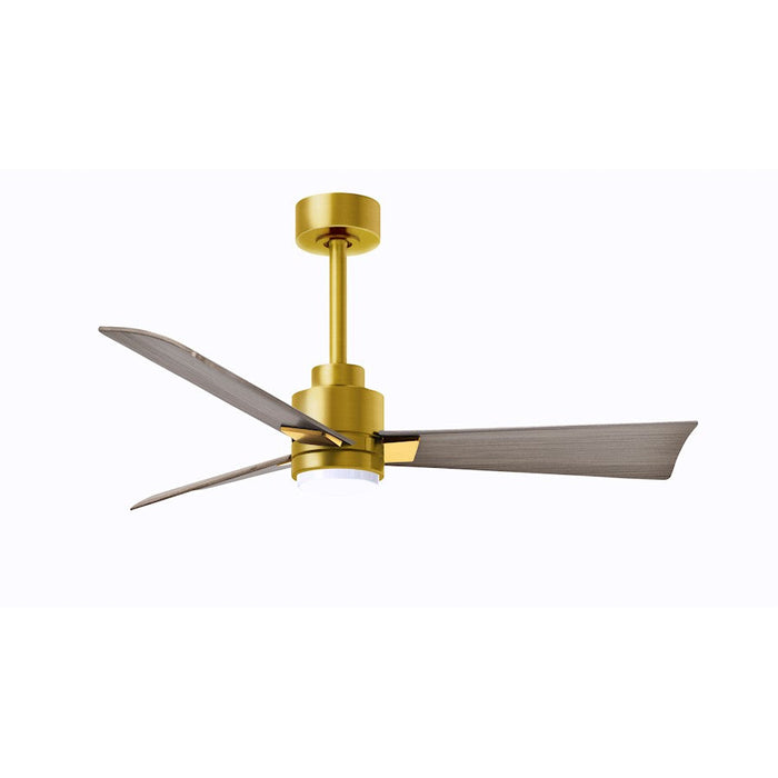 Matthews Fan Alessandra 1 3 Blade 42" Ceiling Fan, Brass/Ash - AKLK-BRBR-GA-42