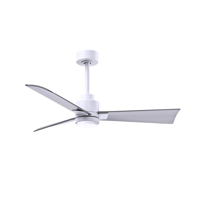 Matthews Fan Alessandra 1 3 Blade 42" Ceiling Fan, White/Nickel - AKLK-MWH-BN-42