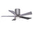 Matthews Fan Irene-5HLK 1 5 Blade 42" Ceiling Fan, Pewter/Barn - IR5HLK-BP-BW-42