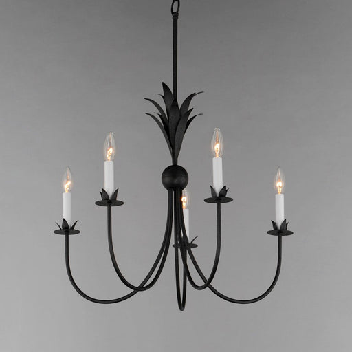 Maxim Lighting Paloma 5 Light Chandelier, Anthracite