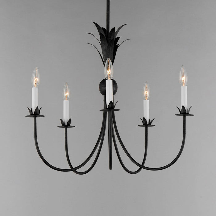 Maxim Lighting Paloma 5 Light Chandelier, Anthracite