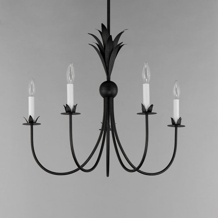 Maxim Lighting Paloma 5 Light Chandelier, Anthracite