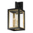 Maxim Neoclass 4 Light Outdoor Wall Mount, Black/Gold/Clear - 30056CLBKGLD