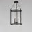 Maxim Lighting Belfry 3 Light Outdoor Pendant, Black/Clear