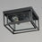 Maxim Lighting Cabana 2 Light Flush Mount, Black/Seedy