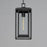 Maxim Lighting Cabana 1 Light Outdoor Hanging Pendant, Black/Seedy