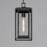 Maxim Lighting Cabana 1 Light Outdoor Hanging Pendant, Black/Seedy