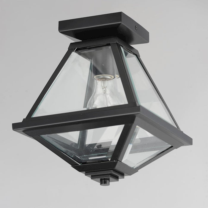 Maxim Lighting Prism 1 Light 9" Flush Mount, Black/Clear