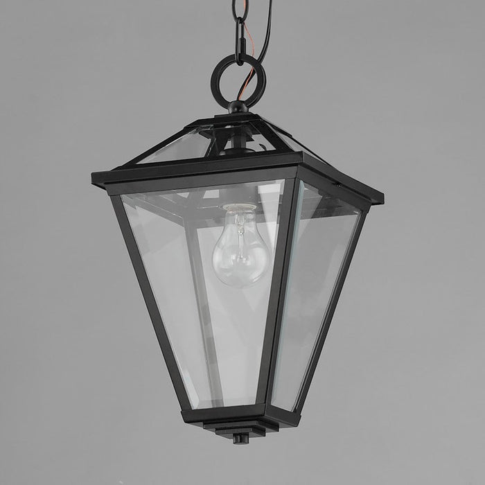 Maxim Lighting Prism 1 Light 16" Outdoor Pendant, Black/Clear