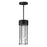 Maxim Lighting Millennial 1Lt Outdoor Hanging Lantern, Black/Seedy - 30587CDBK