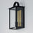 Maxim Lighting Manchester Outdoor Wall Sconce, Black/Clear