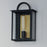 Maxim Lighting Manchester Outdoor Wall Sconce, Black/Clear