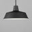 Maxim Lighting Pier M 1 Light Outdoor Pendant