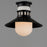 Maxim Admiralty 1 Light Outdoor Flush Mount, Black