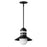 Maxim Lighting Admiralty 1 Light Outdoor Pendant, Black/Satin White - 35121SWBK