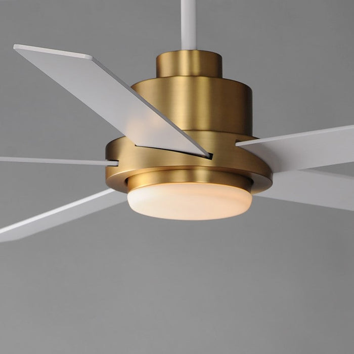 Maxim Lighting Daisy 1Lt 60" 5-Bd Hugger Fan/Led Light Kit, Brass/White