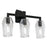 Norwell Lighting Gaia 3 Light Sconce, Acid Dipped Black - 8163-MB-CL