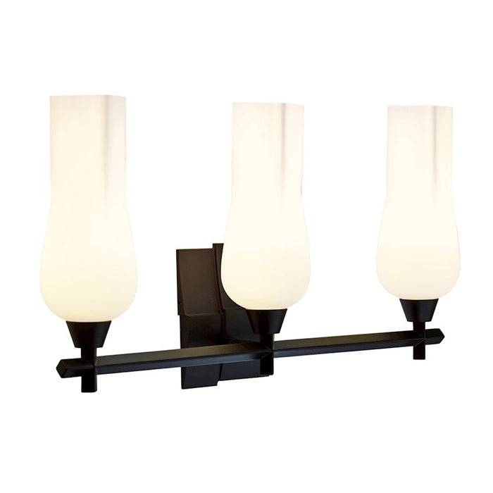 Norwell Lighting Fleur 3 Light Vanity Lighting, Matte Black/Glass - 8177-MB-MO