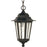 Nuvo Lighting Cornerstone 1 Light 13" Hanging Lantern, Clear Seed - 60-3476