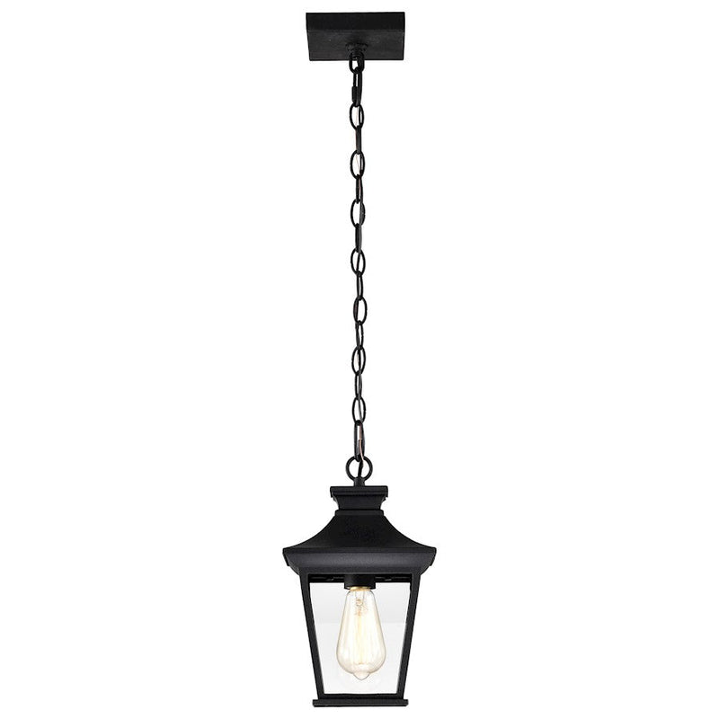 Nuvo Lighting Jasper 1 Light Outdoor Hanging Lantern, Black /Clear