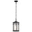 Nuvo Lighting Raiden 1 Light Outdoor Hanging Lantern, Black/Seeded - 60-5759