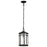 Nuvo Lighting Raiden 1 Light Outdoor Hanging Lantern, Black/Seeded