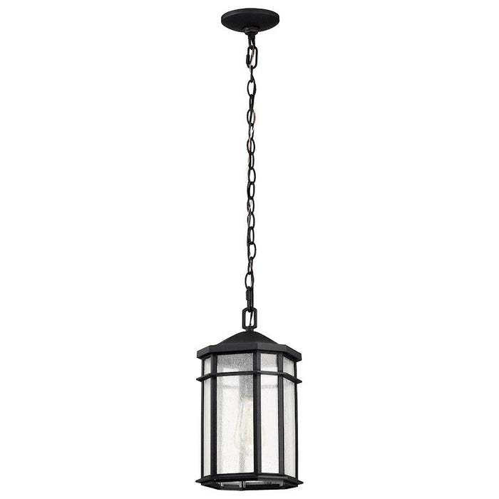 Nuvo Lighting Raiden 1 Light Outdoor Hanging Lantern, Black/Seeded