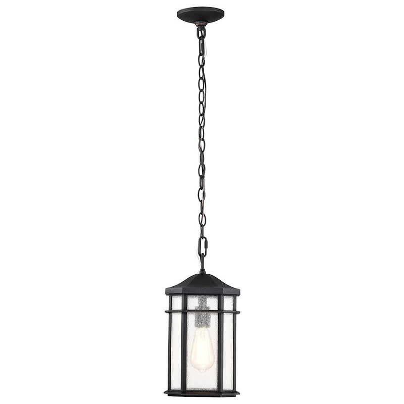 Nuvo Lighting Raiden 1 Light Outdoor Hanging Lantern, Black/Seeded