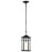 Nuvo Lighting Raiden 1 Light Outdoor Hanging Lantern, Black/Seeded