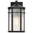 Nuvo Lighting Raiden 1 Lt Outdoor Small Wall Lantern, Black/Seeded