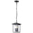 Nuvo Lighting Jamesport 3 Light Outdoor Hanging Lantern, Blac/Clear - 60-5933