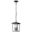 Nuvo Lighting Jamesport 3 Light Outdoor Hanging Lantern, Blac/Clear