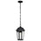 Nuvo Lighting East River 1 Lt Outdoor Hanging Lantern, Black/Water