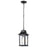 Nuvo Lighting Stillwell 1 Light Outdoor Hanging Lantern, Black/Water - 60-5958