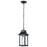 Nuvo Lighting Stillwell 1 Light Outdoor Hanging Lantern, Black/Water