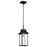 Nuvo Lighting Austen 1 Light Outdoor Hanging Lantern, Black/Water - 60-5996